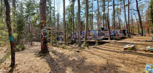 A colorful, graffiti-covered structure in a wooded area with tall trees and scattered sunlight.