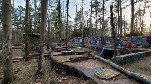 Abandoned site in a forest, featuring colorful graffiti on concrete structures surrounded by trees.