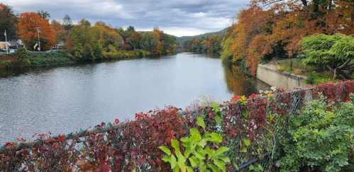 A serene river scene surrounded by vibrant autumn foliage and a cloudy sky.