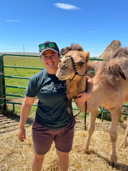 A person smiles while holding a camel's head, standing in a sunny outdoor setting with green grass and blue sky.