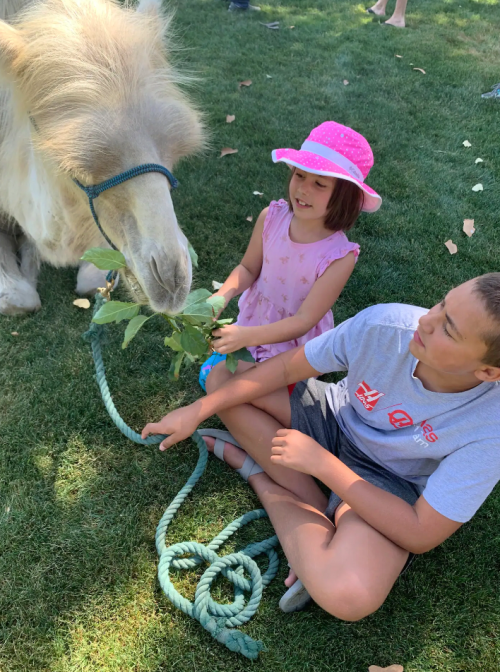 A child in a pink hat and a boy sit on grass, feeding a friendly camel with green leaves.