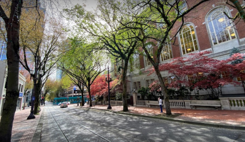 A tree-lined street with vibrant green and red foliage, featuring a historic building and a person walking.