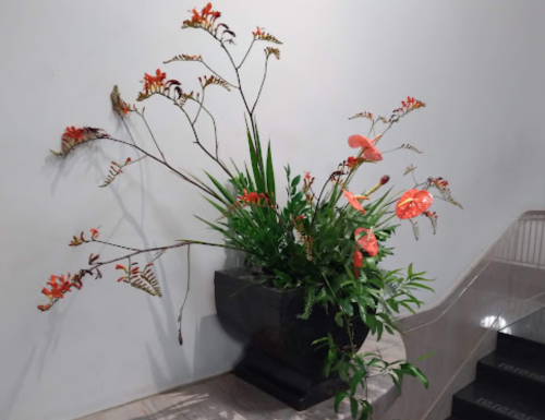A decorative arrangement of orange flowers and green foliage in a black planter against a white wall.
