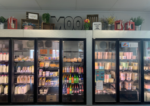 Refrigerated display case filled with dairy products, drinks, and ice cream, with decorative items on top.