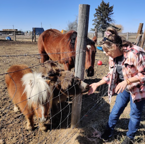 A woman in a plaid shirt feeds a small pony while a horse watches nearby, with a fenced pasture in the background.
