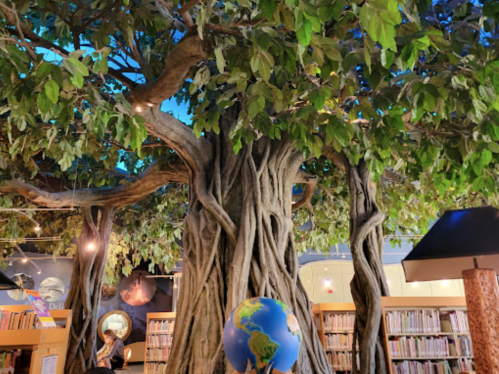 A large, artistic tree with twisting branches and green leaves inside a library, with a globe nearby.