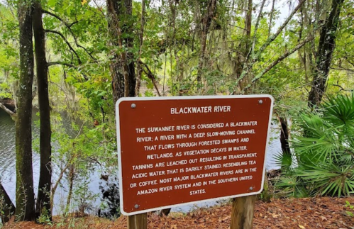 Sign about the Blackwater River, describing its slow flow through forests and wetlands, with a view of the river nearby.