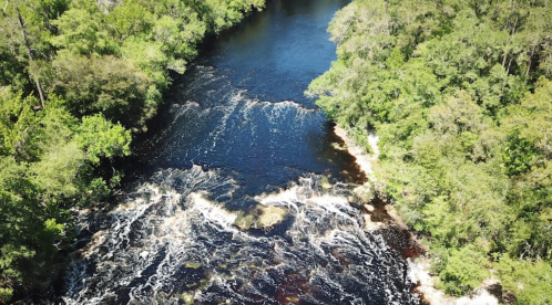 Aerial view of a winding river surrounded by lush green trees and gentle rapids.