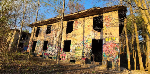Abandoned building covered in colorful graffiti, surrounded by trees and bathed in warm sunlight.