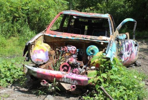 Abandoned, graffiti-covered car partially overgrown with plants in a wooded area.