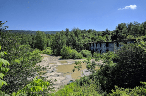 Abandoned building surrounded by lush greenery and a muddy pond under a clear blue sky.