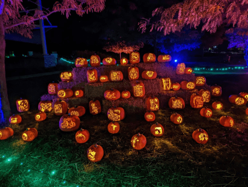 A vibrant display of carved pumpkins on hay bales, illuminated with colorful lights in a nighttime setting.