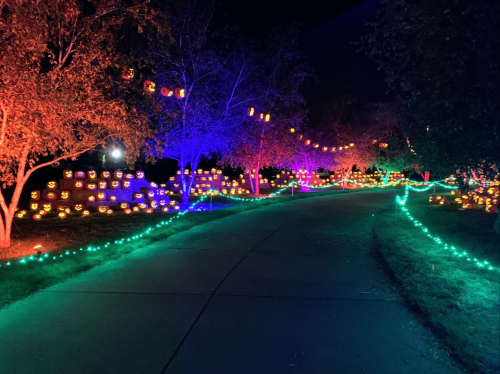 A nighttime scene of a path lined with colorful lights and illuminated pumpkins, surrounded by trees and decorations.