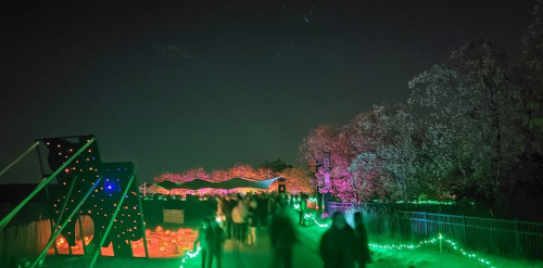 A nighttime scene with glowing green and pink lights, people walking along a path, and trees in the background.