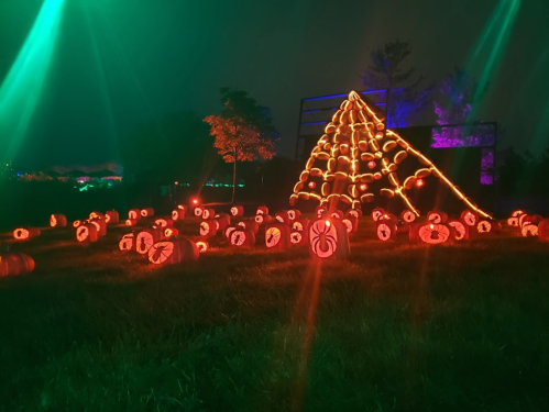 A field of glowing jack-o'-lanterns with spider designs, illuminated by green and orange lights, creating a festive atmosphere.