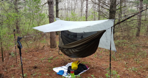 A camping setup with a tarp and hammock in a forest, surrounded by trees and scattered gear on the ground.