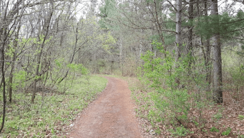 A winding dirt path through a lush, green forest with trees and underbrush on either side.