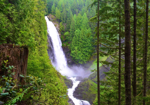 A stunning waterfall cascades down rocky cliffs, surrounded by lush green trees and mist in a serene forest setting.