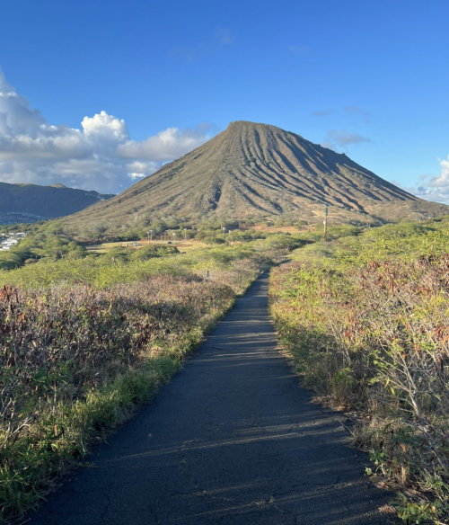 A winding path leads towards a conical volcanic mountain under a clear blue sky, surrounded by greenery.