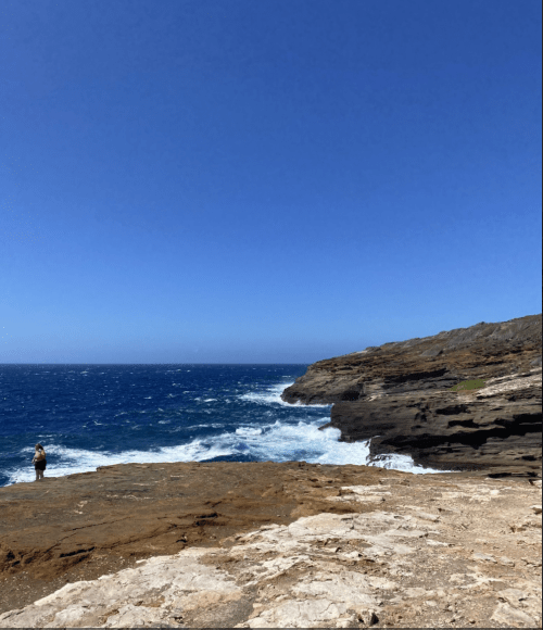 A person stands on a rocky shore, overlooking a blue ocean under a clear sky. Waves crash against the rocks.