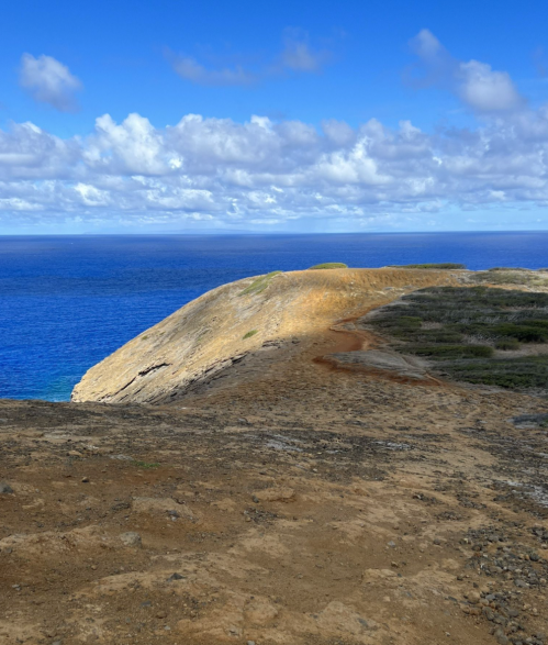 A rocky coastline with a path leading to the edge, overlooking a blue ocean under a partly cloudy sky.