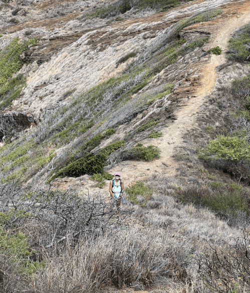 A hiker stands on a rugged trail surrounded by dry grass and shrubs on a hillside.