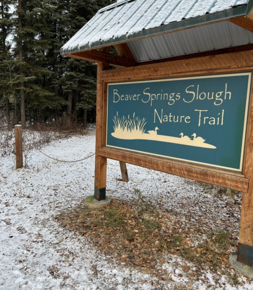 Sign for Beaver Springs Slough Nature Trail, surrounded by snow and trees.
