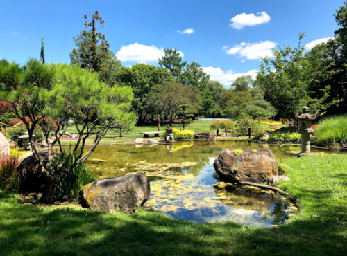 A serene garden scene featuring a pond, lush greenery, rocks, and blue skies with fluffy clouds.