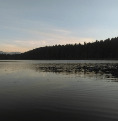 A calm lake at dusk, reflecting the sky and surrounded by a dense forest silhouette.