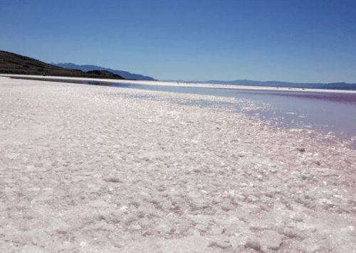 A vast salt flat with a pinkish hue under a clear blue sky, surrounded by distant mountains.