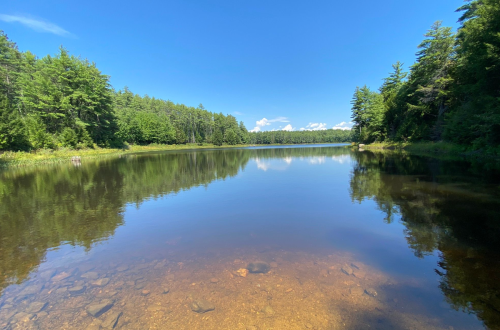 A serene lake surrounded by lush green trees under a clear blue sky, reflecting the landscape on its calm surface.