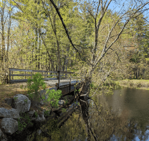 A wooden bridge over a calm pond, surrounded by lush green trees and rocks on a sunny day.