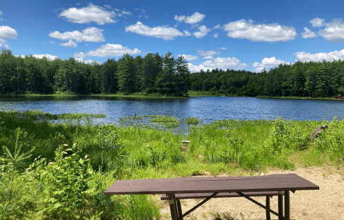 A serene lake surrounded by lush greenery and trees, with a picnic table in the foreground under a blue sky.