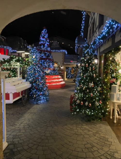 A festive pathway adorned with Christmas trees and lights, leading to a red staircase in a charming holiday setting.