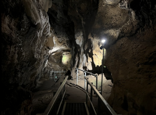 A dimly lit cave interior with rocky walls and a metal walkway leading deeper into the cavern.