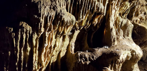 Close-up of textured cave walls with intricate formations and shadows, showcasing natural rock features.