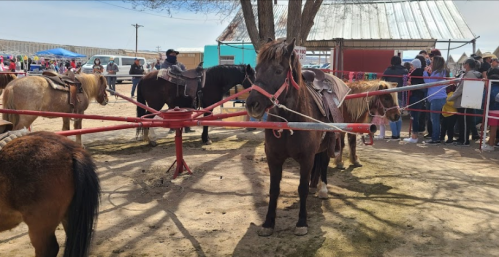 A group of horses tied to a carousel in a crowded outdoor setting with people in the background.