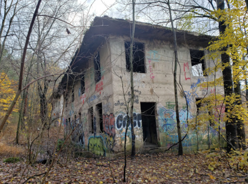 Abandoned building covered in graffiti, surrounded by trees and fallen leaves in a forested area.