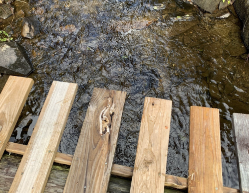 A wooden bridge spans a shallow stream, with clear water flowing beneath and rocks visible along the banks.