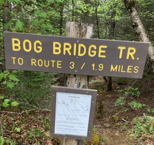 Sign for Bog Bridge Trail, indicating a distance of 1.9 miles to Route 3, surrounded by trees.