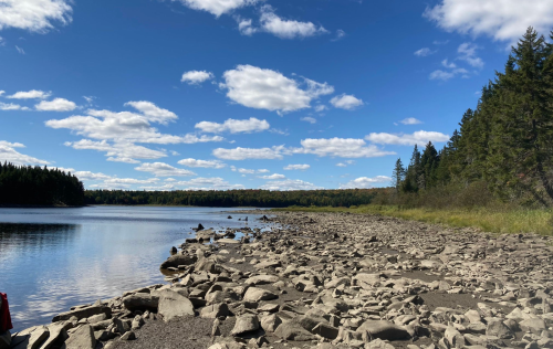 A rocky shoreline beside a calm lake, with trees and a blue sky filled with fluffy clouds in the background.