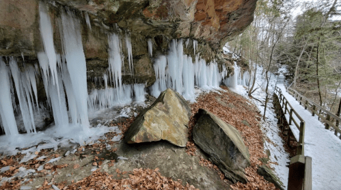 Icicles hang from a rocky overhang, with fallen leaves on the ground and a path leading through a wooded area.