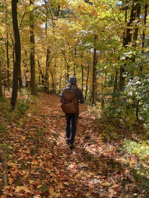 A person walks along a leaf-covered trail in a vibrant autumn forest, surrounded by colorful trees.
