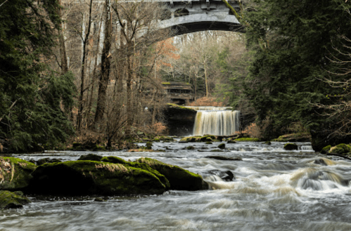 A serene waterfall cascades into a river, framed by lush trees and a stone bridge overhead.