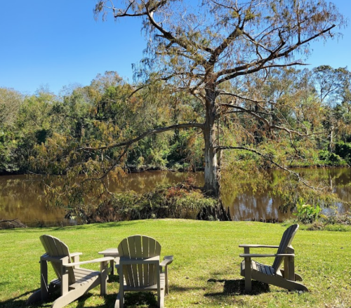 A serene riverside scene with three wooden chairs facing a calm waterway and a large tree in the background.