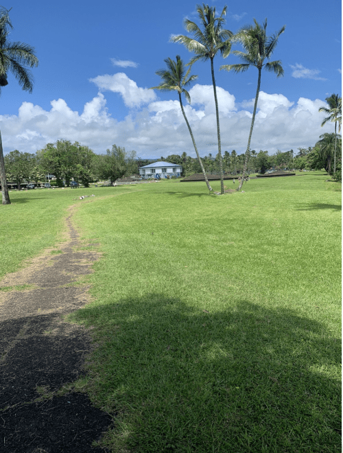 A grassy park with a winding path, palm trees, and a blue building in the background under a partly cloudy sky.