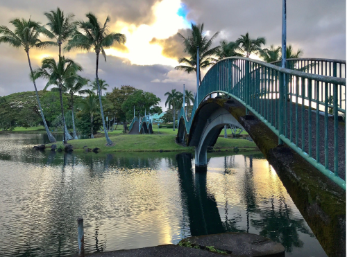 A curved bridge over a calm lake, surrounded by palm trees and a cloudy sky reflecting on the water.