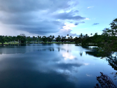 A serene lake reflecting clouds and trees, surrounded by lush greenery under a blue sky.
