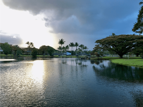 A serene lake reflecting trees and a cloudy sky, with two bridges in the background and palm trees lining the shore.