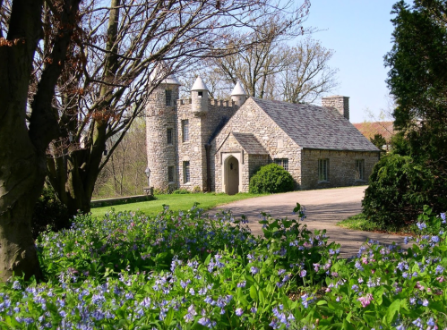 A stone house with turrets surrounded by blooming blue flowers and trees on a sunny day.